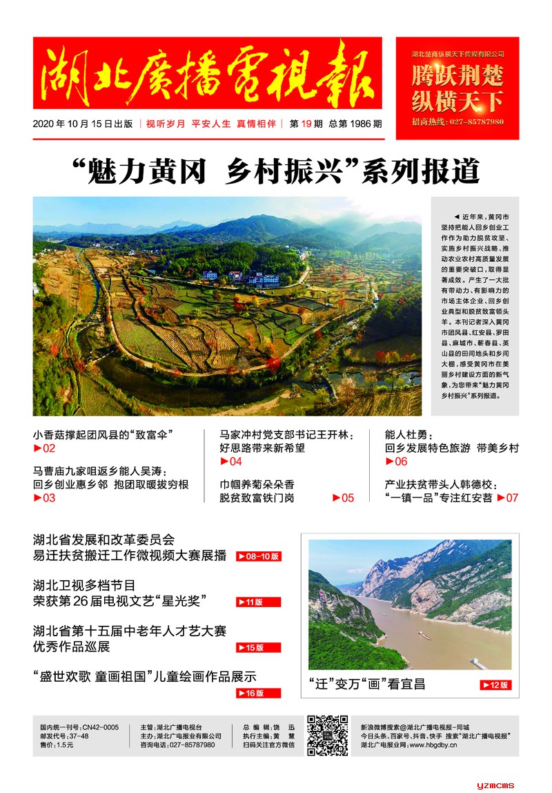 封面  湖北廣播電視報20201015印刷.jpg