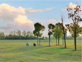 武漢超贊露營地大盤點