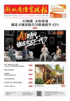 湖北廣播電視報[2025] 第17期